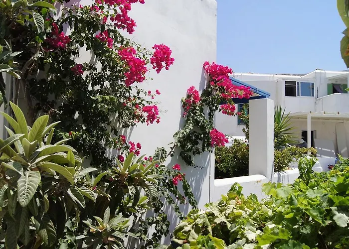 Angeliki's Parikia (Paros)