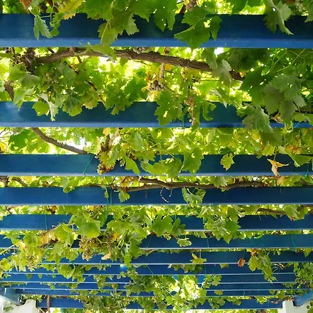 Guest house Angeliki's