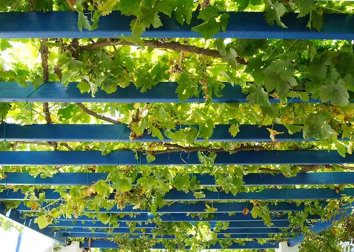 Maison d'hôtes Angeliki's